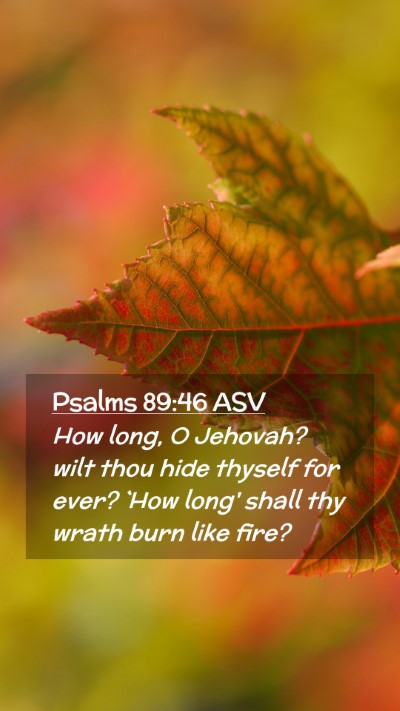 Picture 02 - Psalms 89:46 ASV Mobile Phone Wallpaper - How long, O Jehovah? wilt thou hide thyself for - Mobile Bible Verse Wallpaper