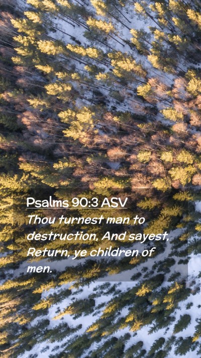 Picture 02 - Psalms 90:3 ASV Mobile Phone Wallpaper - Thou turnest man to destruction, And sayest, - Mobile Bible Verse Wallpaper