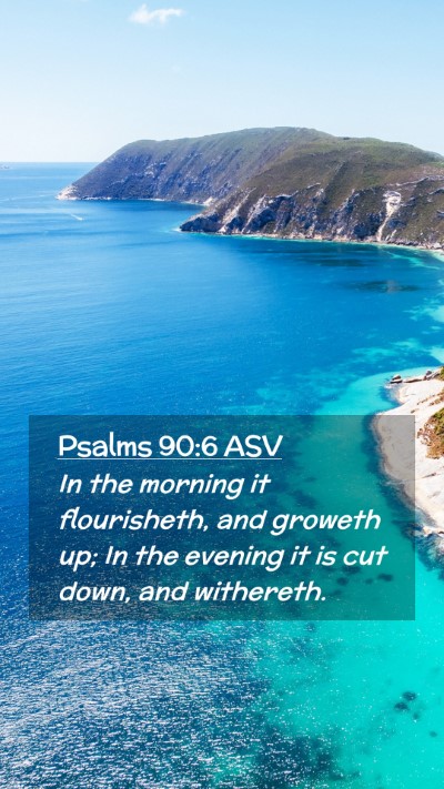 Picture 02 - Psalms 90:6 ASV Mobile Phone Wallpaper - In the morning it flourisheth, and groweth up; In - Mobile Bible Verse Wallpaper