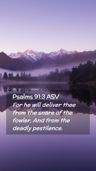 Picture 02 - Psalms 91:3 ASV Mobile Phone Wallpaper - For he will deliver thee from the snare of the - Mobile Bible Verse Wallpaper