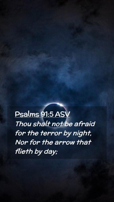 Picture 02 - Psalms 91:5 ASV Mobile Phone Wallpaper - Thou shalt not be afraid for the terror by night, - Mobile Bible Verse Wallpaper