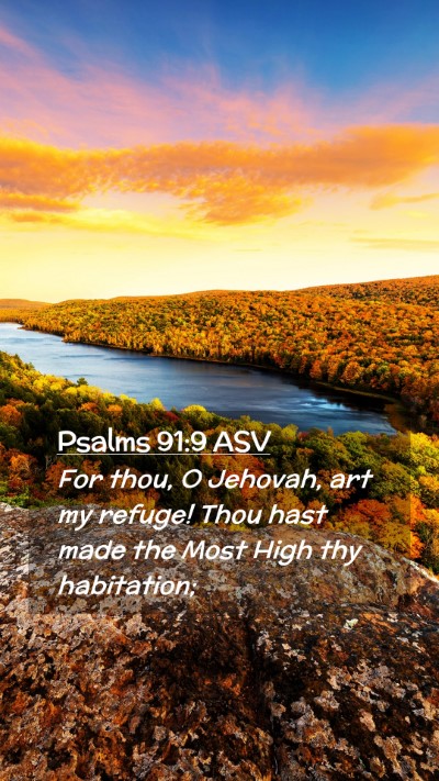 Picture 02 - Psalms 91:9 ASV Mobile Phone Wallpaper - For thou, O Jehovah, art my refuge! Thou hast - Mobile Bible Verse Wallpaper