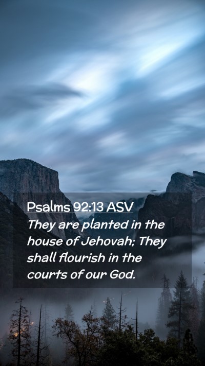 Picture 02 - Psalms 92:13 ASV Mobile Phone Wallpaper - They are planted in the house of Jehovah; They - Mobile Bible Verse Wallpaper
