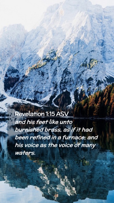 Picture 02 - Revelation 1:15 ASV Mobile Phone Wallpaper - and his feet like unto burnished brass, as if it - Mobile Bible Verse Wallpaper