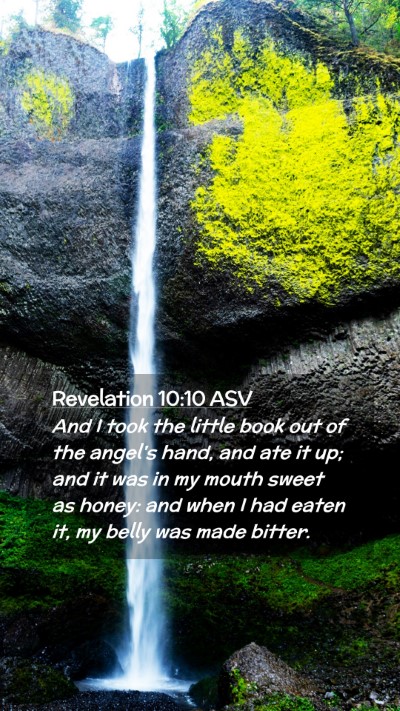 Picture 02 - Revelation 10:10 ASV Mobile Phone Wallpaper - And I took the little book out of the angel's - Mobile Bible Verse Wallpaper