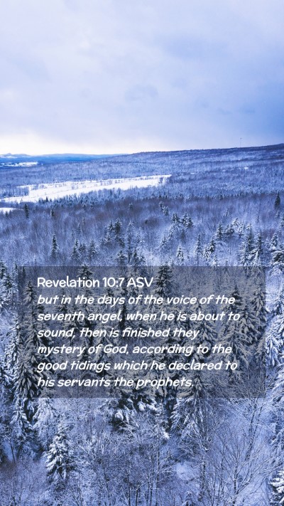 Picture 02 - Revelation 10:7 ASV Mobile Phone Wallpaper - but in the days of the voice of the seventh - Mobile Bible Verse Wallpaper