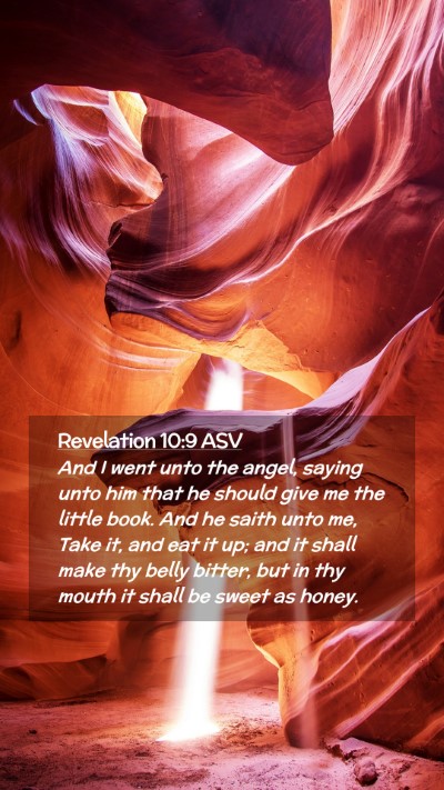 Picture 02 - Revelation 10:9 ASV Mobile Phone Wallpaper - And I went unto the angel, saying unto him that - Mobile Bible Verse Wallpaper