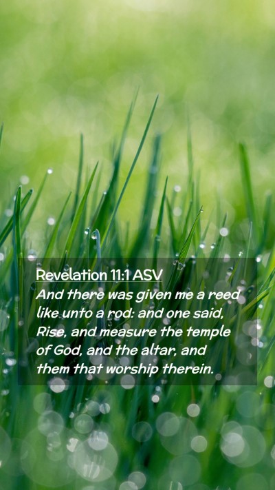 Picture 02 - Revelation 11:1 ASV Mobile Phone Wallpaper - And there was given me a reed like unto a rod: - Mobile Bible Verse Wallpaper