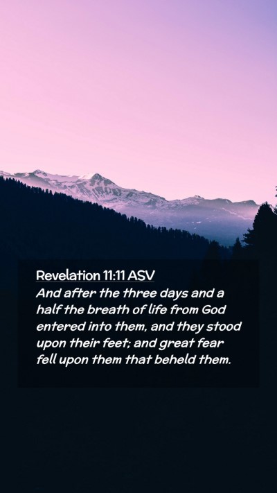 Picture 02 - Revelation 11:11 ASV Mobile Phone Wallpaper - And after the three days and a half the breath of - Mobile Bible Verse Wallpaper