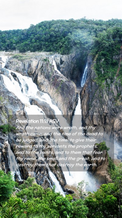 Picture 02 - Revelation 11:18 ASV Mobile Phone Wallpaper - And the nations were wroth, and thy wrath came, - Mobile Bible Verse Wallpaper