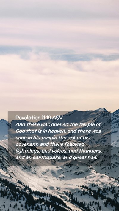 Picture 02 - Revelation 11:19 ASV Mobile Phone Wallpaper - And there was opened the temple of God that is in - Mobile Bible Verse Wallpaper