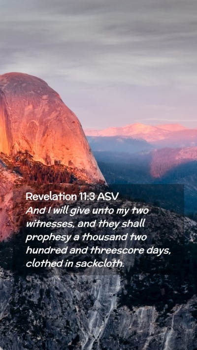 Picture 02 - Revelation 11:3 ASV Mobile Phone Wallpaper - And I will give unto my two witnesses, and they - Mobile Bible Verse Wallpaper