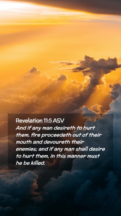 Picture 02 - Revelation 11:5 ASV Mobile Phone Wallpaper - And if any man desireth to hurt them, fire - Mobile Bible Verse Wallpaper