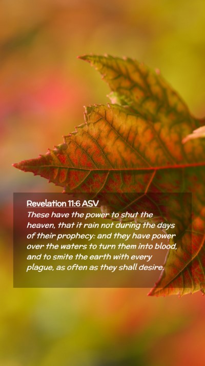 Picture 02 - Revelation 11:6 ASV Mobile Phone Wallpaper - These have the power to shut the heaven, that it - Mobile Bible Verse Wallpaper