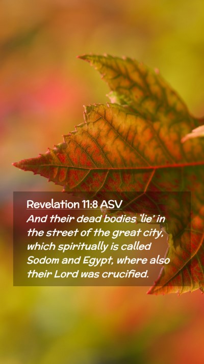 Picture 02 - Revelation 11:8 ASV Mobile Phone Wallpaper - And their dead bodies `lie' in the street of the - Mobile Bible Verse Wallpaper