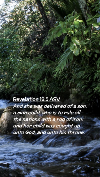 Picture 02 - Revelation 12:5 ASV Mobile Phone Wallpaper - And she was delivered of a son, a man child, who - Mobile Bible Verse Wallpaper