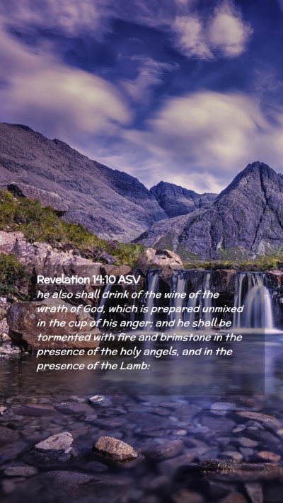 Picture 02 - Revelation 14:10 ASV Mobile Phone Wallpaper - he also shall drink of the wine of the wrath of - Mobile Bible Verse Wallpaper