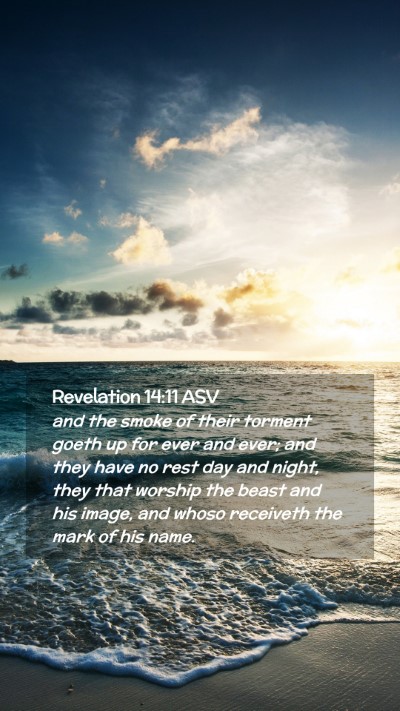 Picture 02 - Revelation 14:11 ASV Mobile Phone Wallpaper - and the smoke of their torment goeth up for ever - Mobile Bible Verse Wallpaper