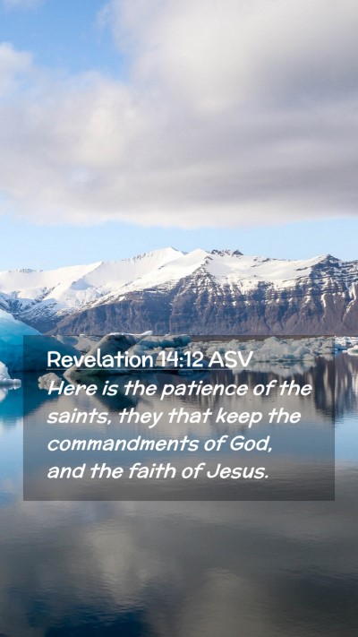 Picture 02 - Revelation 14:12 ASV Mobile Phone Wallpaper - Here is the patience of the saints, they that - Mobile Bible Verse Wallpaper