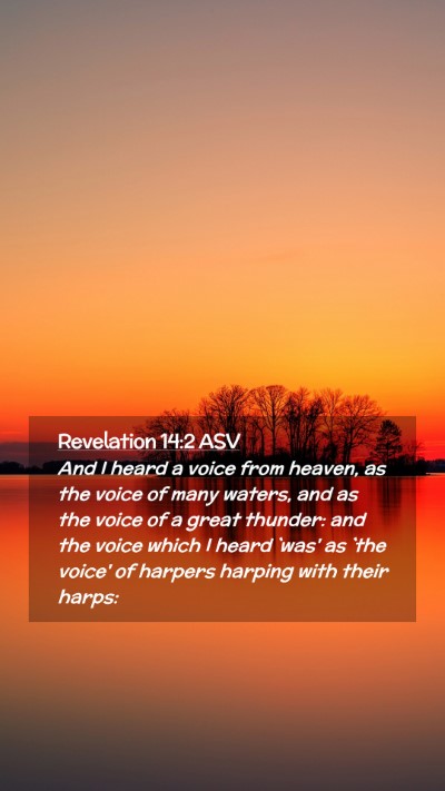 Picture 02 - Revelation 14:2 ASV Mobile Phone Wallpaper - And I heard a voice from heaven, as the voice of - Mobile Bible Verse Wallpaper