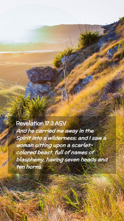 Picture 02 - Revelation 17:3 ASV Mobile Phone Wallpaper - And he carried me away in the Spirit into a - Mobile Bible Verse Wallpaper