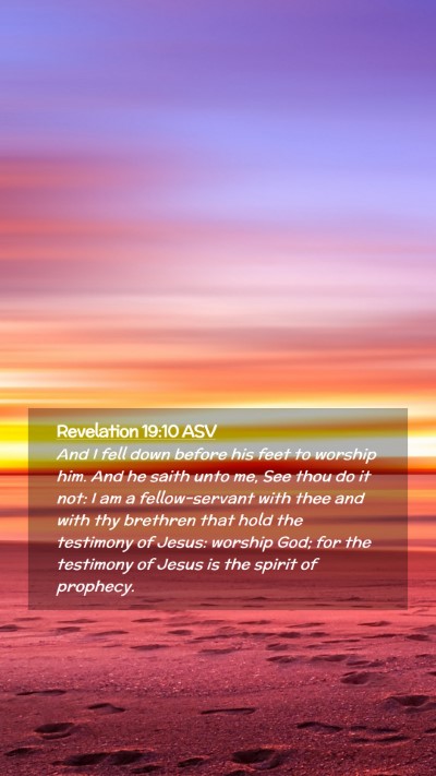 Picture 02 - Revelation 19:10 ASV Mobile Phone Wallpaper - And I fell down before his feet to worship him. - Mobile Bible Verse Wallpaper