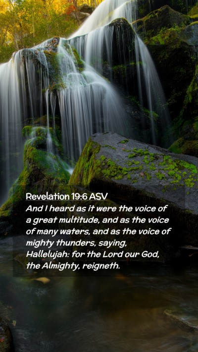 Picture 02 - Revelation 19:6 ASV Mobile Phone Wallpaper - And I heard as it were the voice of a great - Mobile Bible Verse Wallpaper