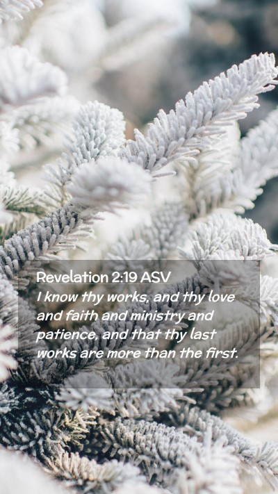 Picture 02 - Revelation 2:19 ASV Mobile Phone Wallpaper - I know thy works, and thy love and faith and - Mobile Bible Verse Wallpaper