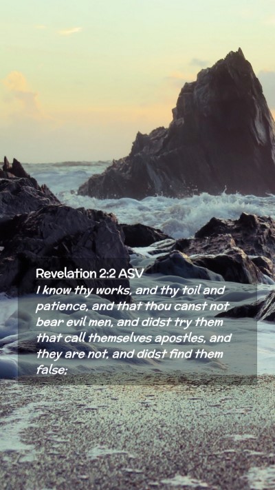 Picture 02 - Revelation 2:2 ASV Mobile Phone Wallpaper - I know thy works, and thy toil and patience, and - Mobile Bible Verse Wallpaper