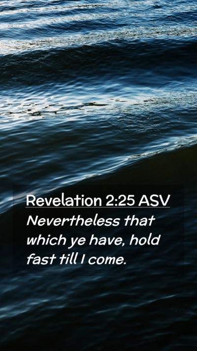 Picture 02 - Revelation 2:25 ASV Mobile Phone Wallpaper - Nevertheless that which ye have, hold fast till I - Mobile Bible Verse Wallpaper
