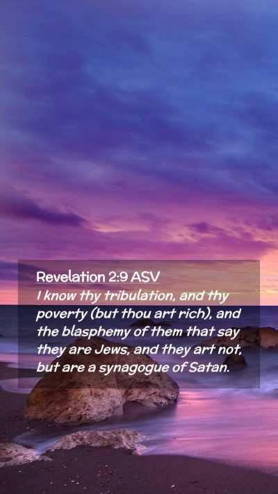 Picture 02 - Revelation 2:9 ASV Mobile Phone Wallpaper - I know thy tribulation, and thy poverty (but thou - Mobile Bible Verse Wallpaper