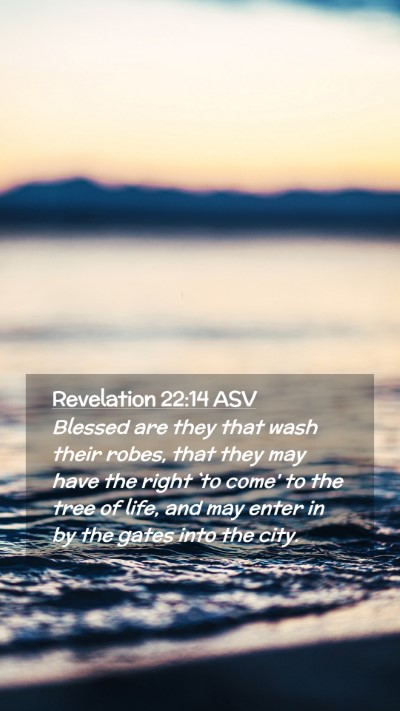 Picture 02 - Revelation 22:14 ASV Mobile Phone Wallpaper - Blessed are they that wash their robes, that they - Mobile Bible Verse Wallpaper
