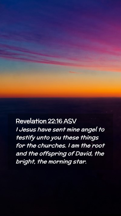 Picture 02 - Revelation 22:16 ASV Mobile Phone Wallpaper - I Jesus have sent mine angel to testify unto you - Mobile Bible Verse Wallpaper
