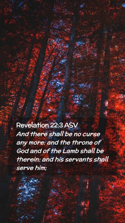 Picture 02 - Revelation 22:3 ASV Mobile Phone Wallpaper - And there shall be no curse any more: and the - Mobile Bible Verse Wallpaper
