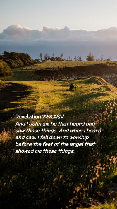 Picture 02 - Revelation 22:8 ASV Mobile Phone Wallpaper - And I John am he that heard and saw these things. - Mobile Bible Verse Wallpaper