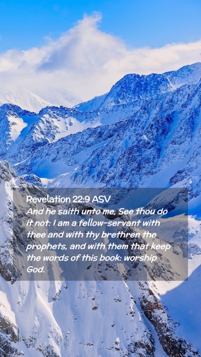 Picture 02 - Revelation 22:9 ASV Mobile Phone Wallpaper - And he saith unto me, See thou do it not: I am a - Mobile Bible Verse Wallpaper