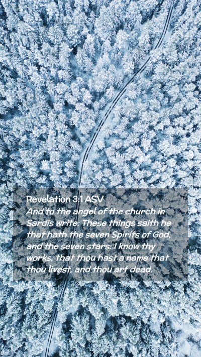Picture 02 - Revelation 3:1 ASV Mobile Phone Wallpaper - And to the angel of the church in Sardis write: - Mobile Bible Verse Wallpaper