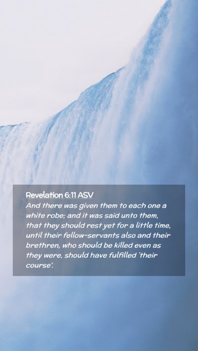 Picture 02 - Revelation 6:11 ASV Mobile Phone Wallpaper - And there was given them to each one a white - Mobile Bible Verse Wallpaper