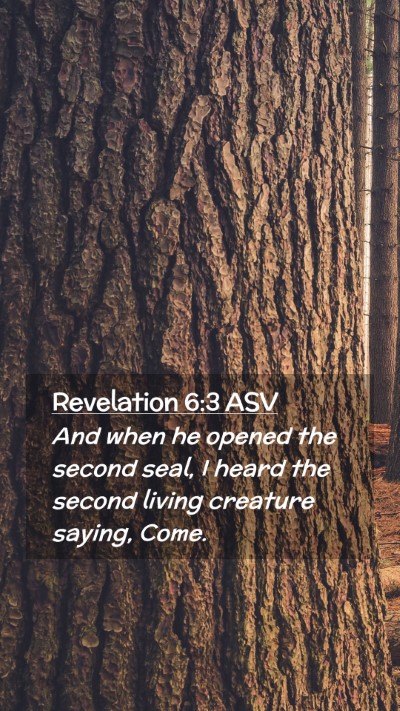 Picture 02 - Revelation 6:3 ASV Mobile Phone Wallpaper - And when he opened the second seal, I heard the - Mobile Bible Verse Wallpaper