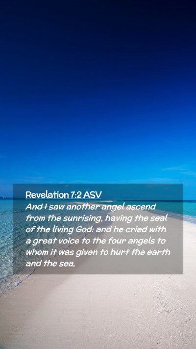 Picture 02 - Revelation 7:2 ASV Mobile Phone Wallpaper - And I saw another angel ascend from the - Mobile Bible Verse Wallpaper