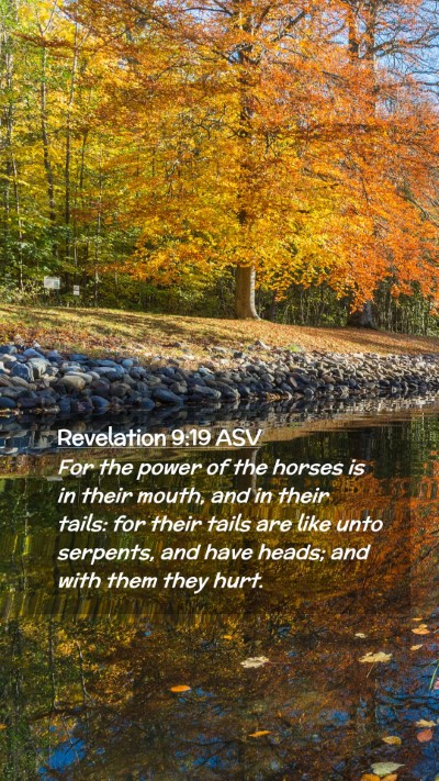 Picture 02 - Revelation 9:19 ASV Mobile Phone Wallpaper - For the power of the horses is in their mouth, - Mobile Bible Verse Wallpaper