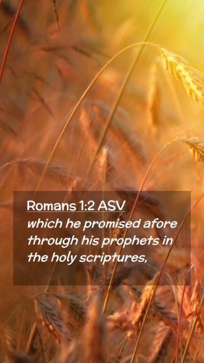Picture 02 - Romans 1:2 ASV Mobile Phone Wallpaper - which he promised afore through his prophets in - Mobile Bible Verse Wallpaper