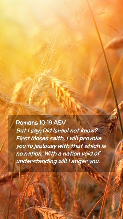 Picture 02 - Romans 10:19 ASV Mobile Phone Wallpaper - But I say, Did Israel not know? First Moses - Mobile Bible Verse Wallpaper