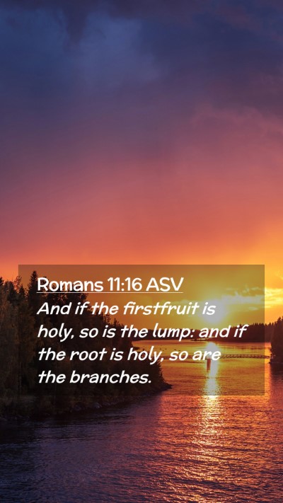 Picture 02 - Romans 11:16 ASV Mobile Phone Wallpaper - And if the firstfruit is holy, so is the lump: - Mobile Bible Verse Wallpaper