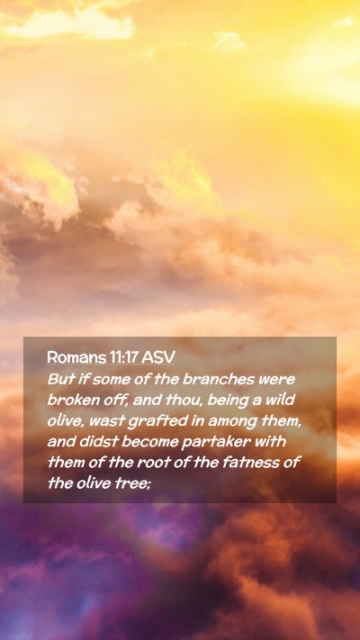 Picture 02 - Romans 11:17 ASV Mobile Phone Wallpaper - But if some of the branches were broken off, and - Mobile Bible Verse Wallpaper