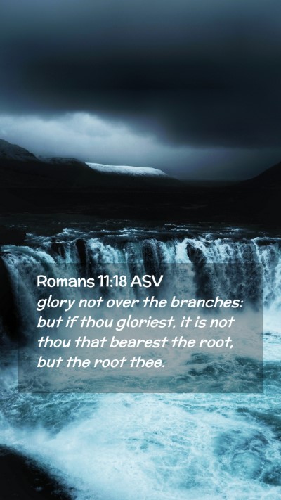 Picture 02 - Romans 11:18 ASV Mobile Phone Wallpaper - glory not over the branches: but if thou - Mobile Bible Verse Wallpaper