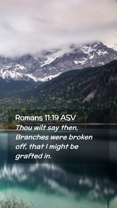 Picture 02 - Romans 11:19 ASV Mobile Phone Wallpaper - Thou wilt say then, Branches were broken off, - Mobile Bible Verse Wallpaper