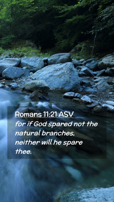 Picture 02 - Romans 11:21 ASV Mobile Phone Wallpaper - for if God spared not the natural branches, - Mobile Bible Verse Wallpaper