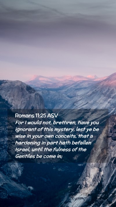 Picture 02 - Romans 11:25 ASV Mobile Phone Wallpaper - For I would not, brethren, have you ignorant of - Mobile Bible Verse Wallpaper