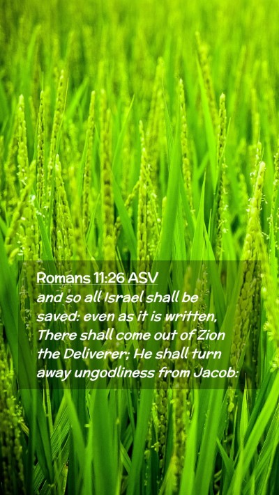 Picture 02 - Romans 11:26 ASV Mobile Phone Wallpaper - and so all Israel shall be saved: even as it is - Mobile Bible Verse Wallpaper